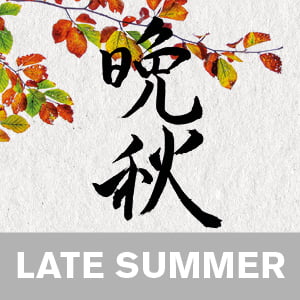 Practical Zen Yoga for the Late Summer - video