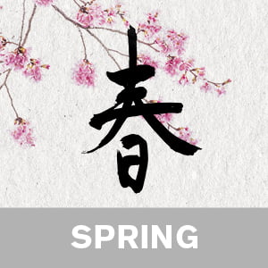 Practical Zen Yoga for the Spring - video